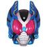 ライダーガダック